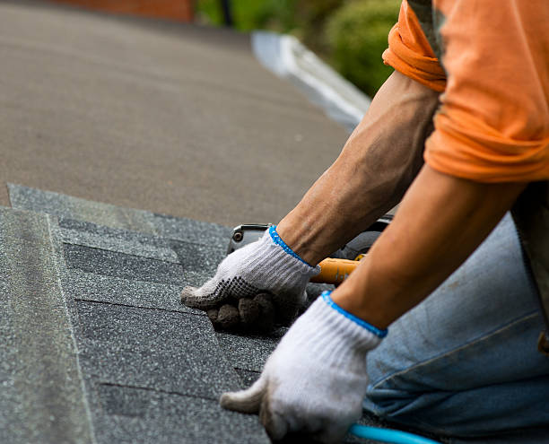 Best Roof Gutter Cleaning  in Garner, IA